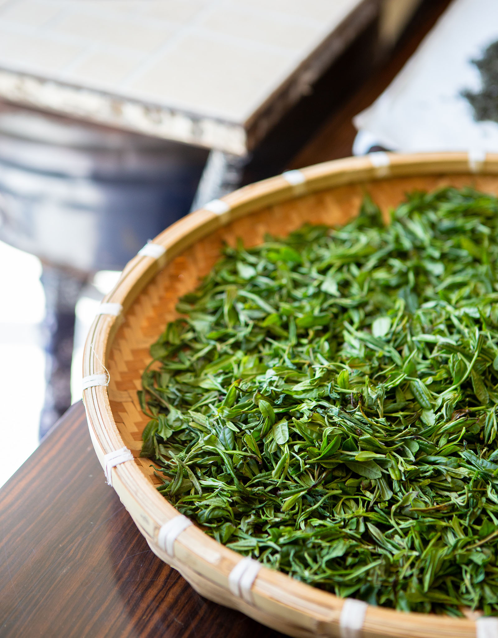 green tea leaves help lose weight