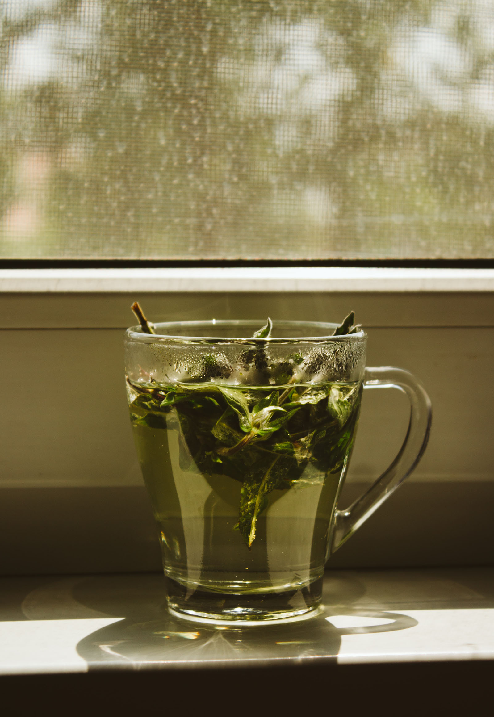 how to brew green tea for benefits
