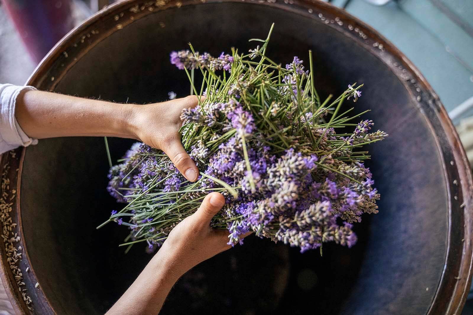 lavender benefits on skin