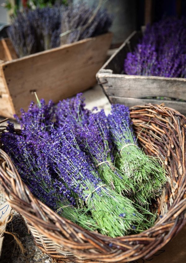 Lavender’s (potent) skin benefits — and how to use it in your beauty routine!