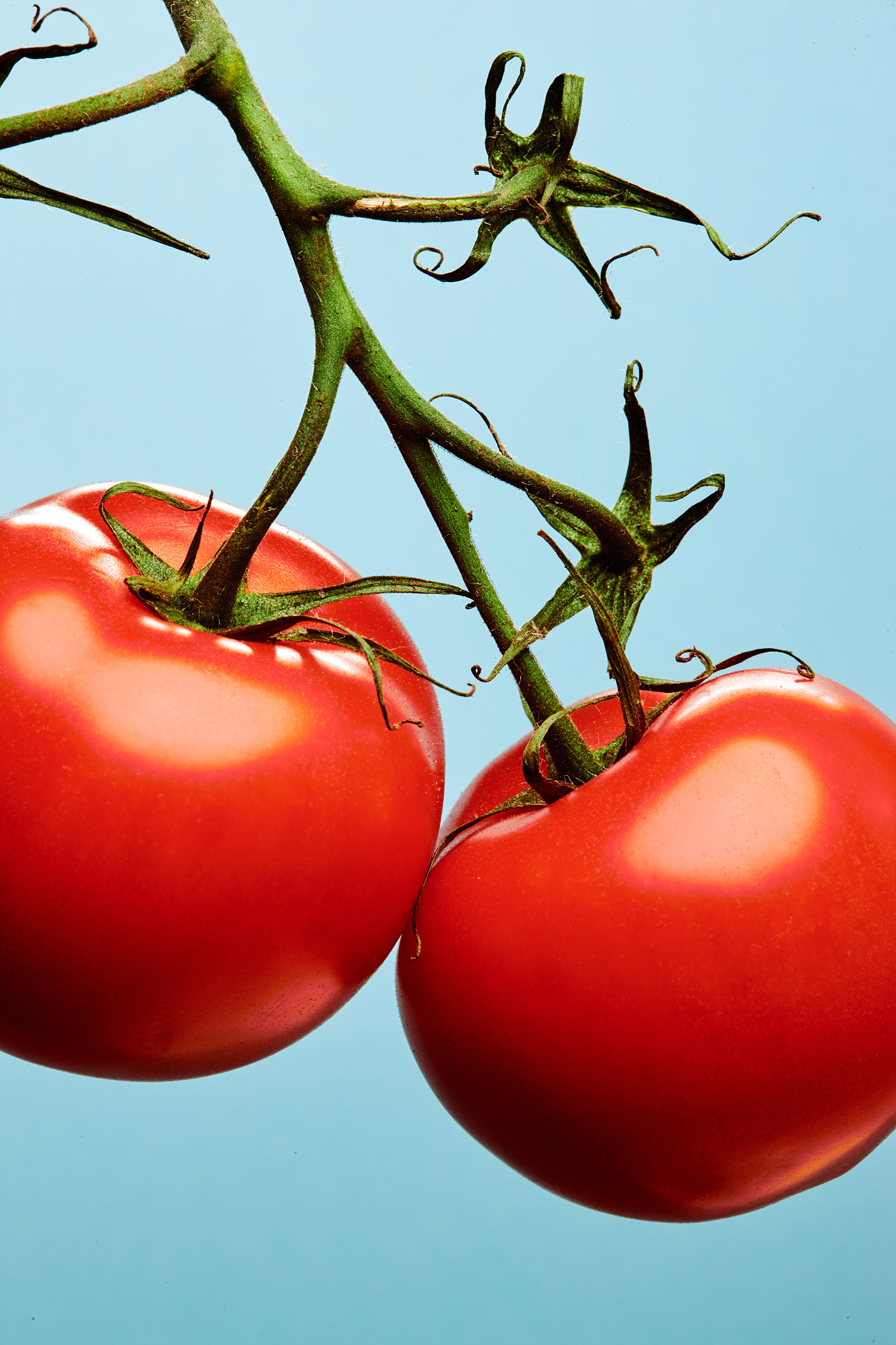 tomatoes as home remedies for sunburn