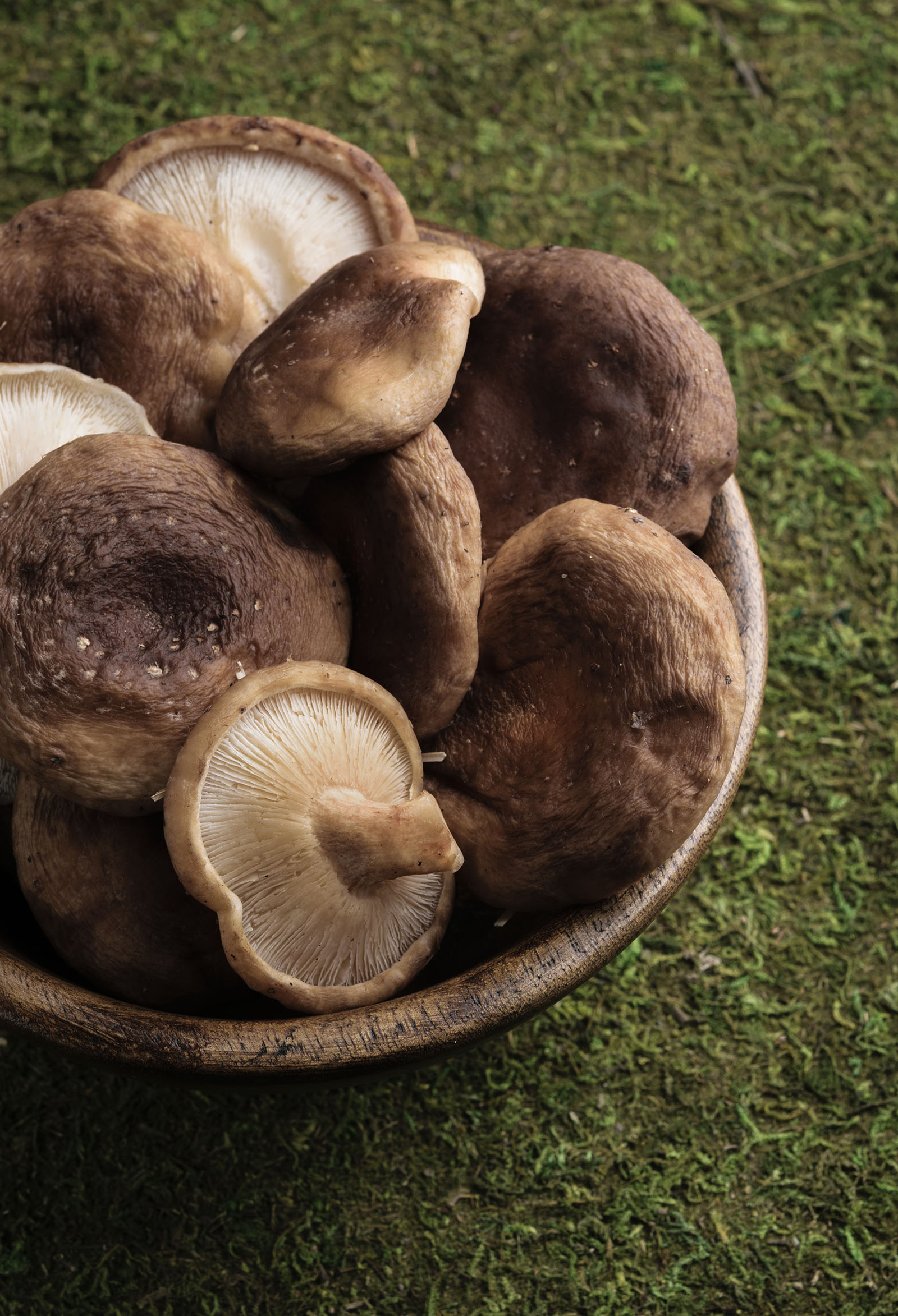 shiitake mushroom skin benefits