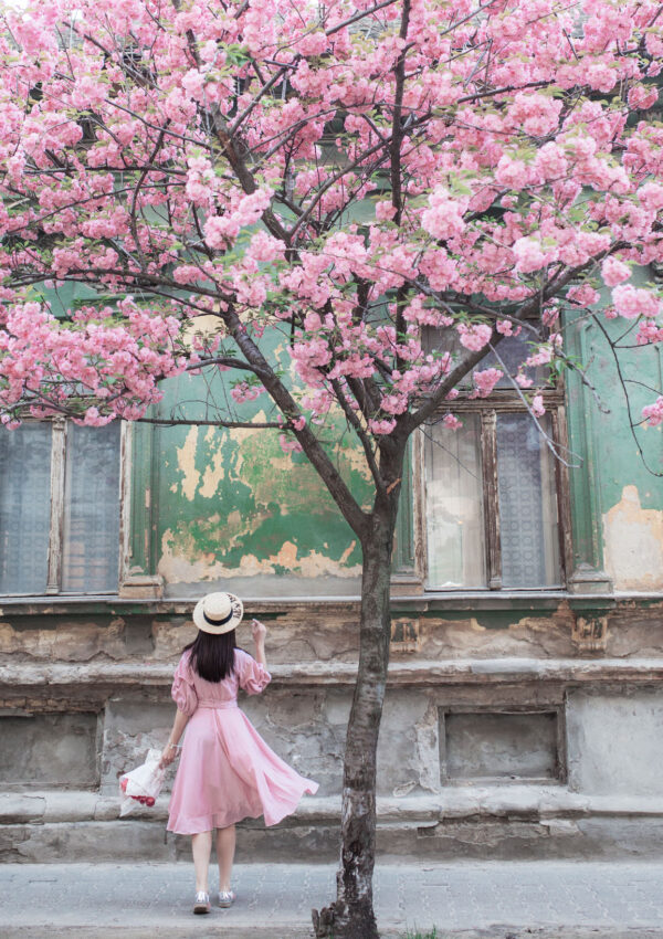 The skincare benefits of cherry blossoms (Japan’s best kept beauty secret!)