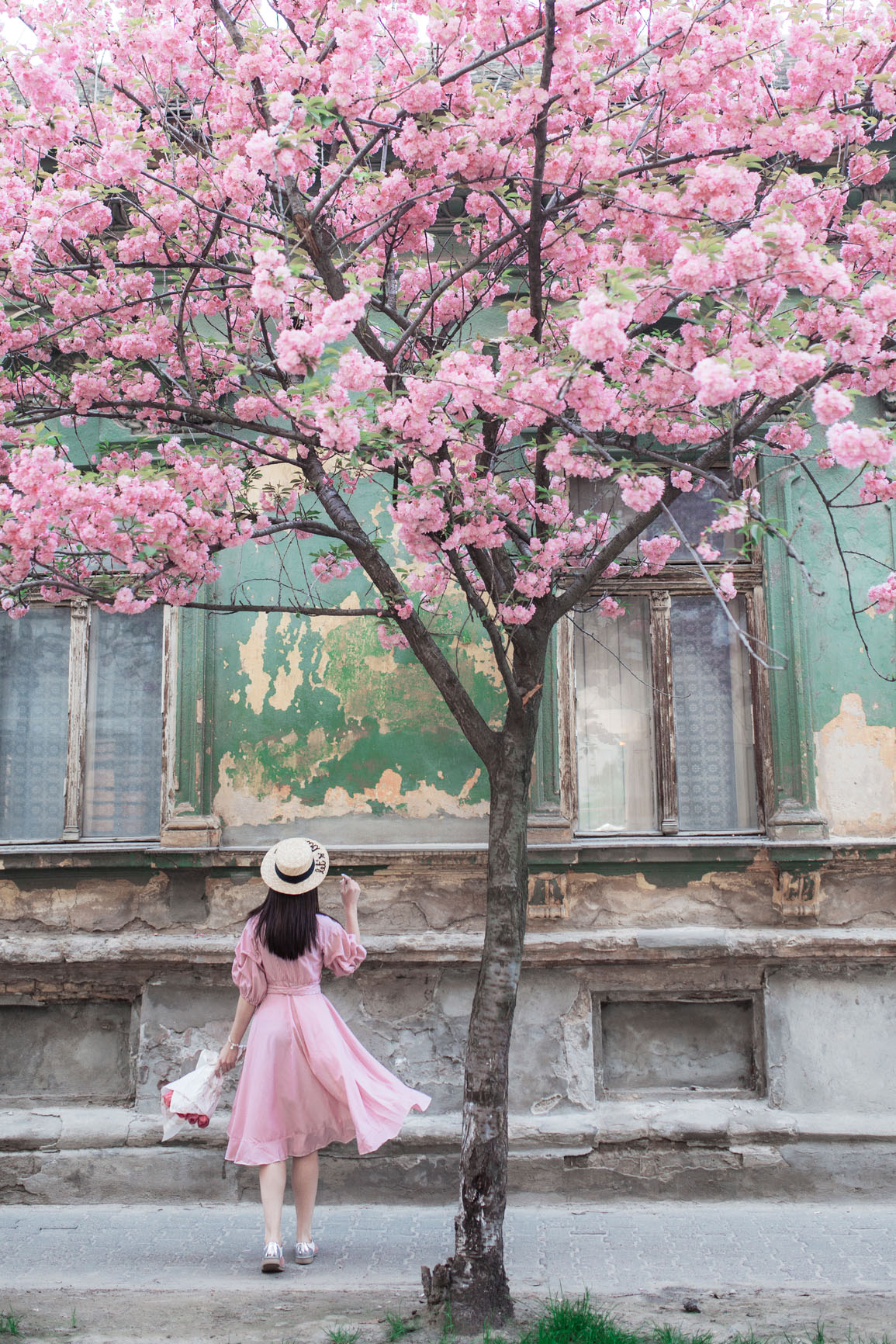woman exploring cherry blossom skin benefits